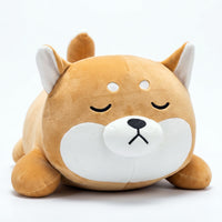おやすみ柴犬