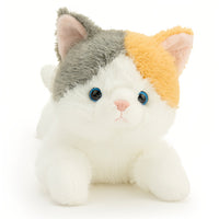 三毛猫