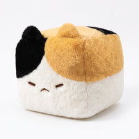 キューブ（三毛猫）
