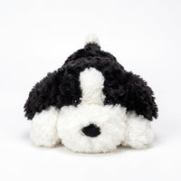白黒犬