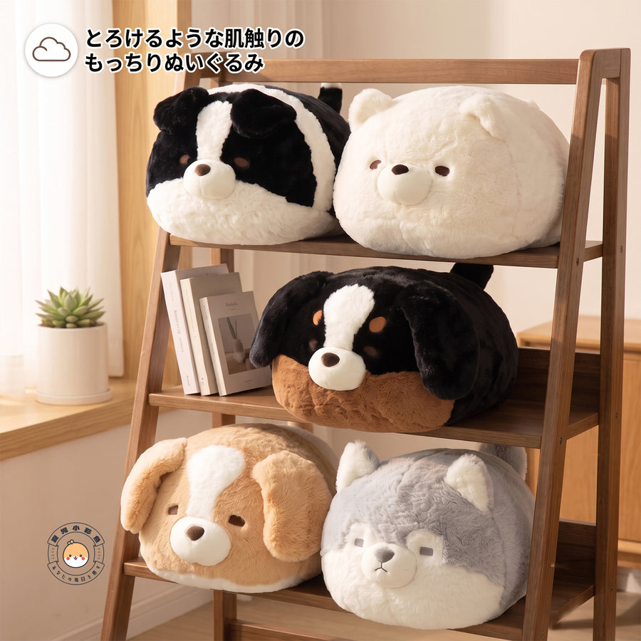 お部屋のシェルフに並ぶ、ふわふわで柔らかな表情の犬のぬいぐるみたち