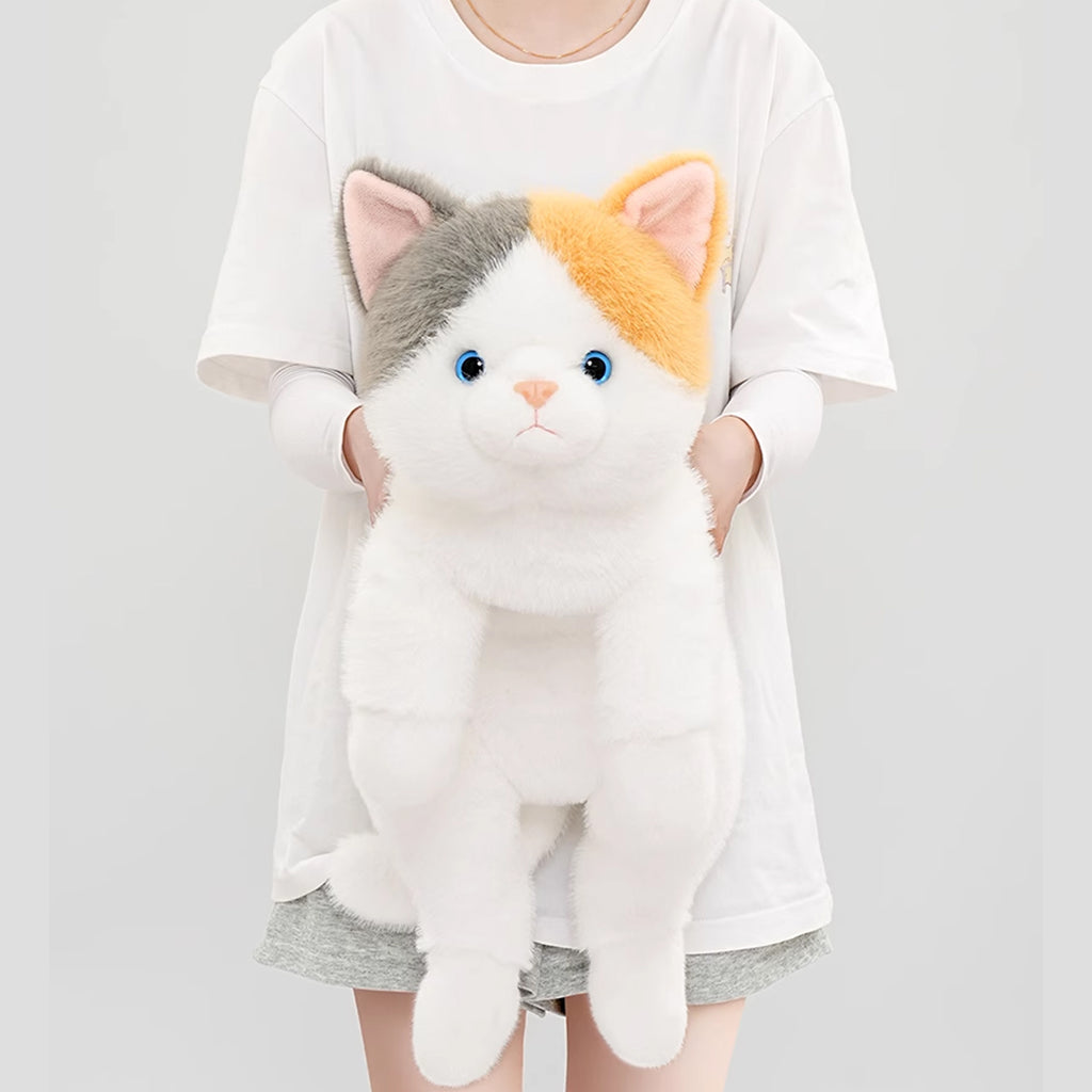 両手で抱え上げた時のふっくらとしたお腹と脱力したポーズの三毛猫