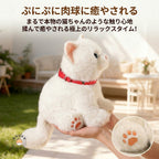 まるで本物の猫ちゃんのようなぷにぷにシリコン肉球の手のひら特写