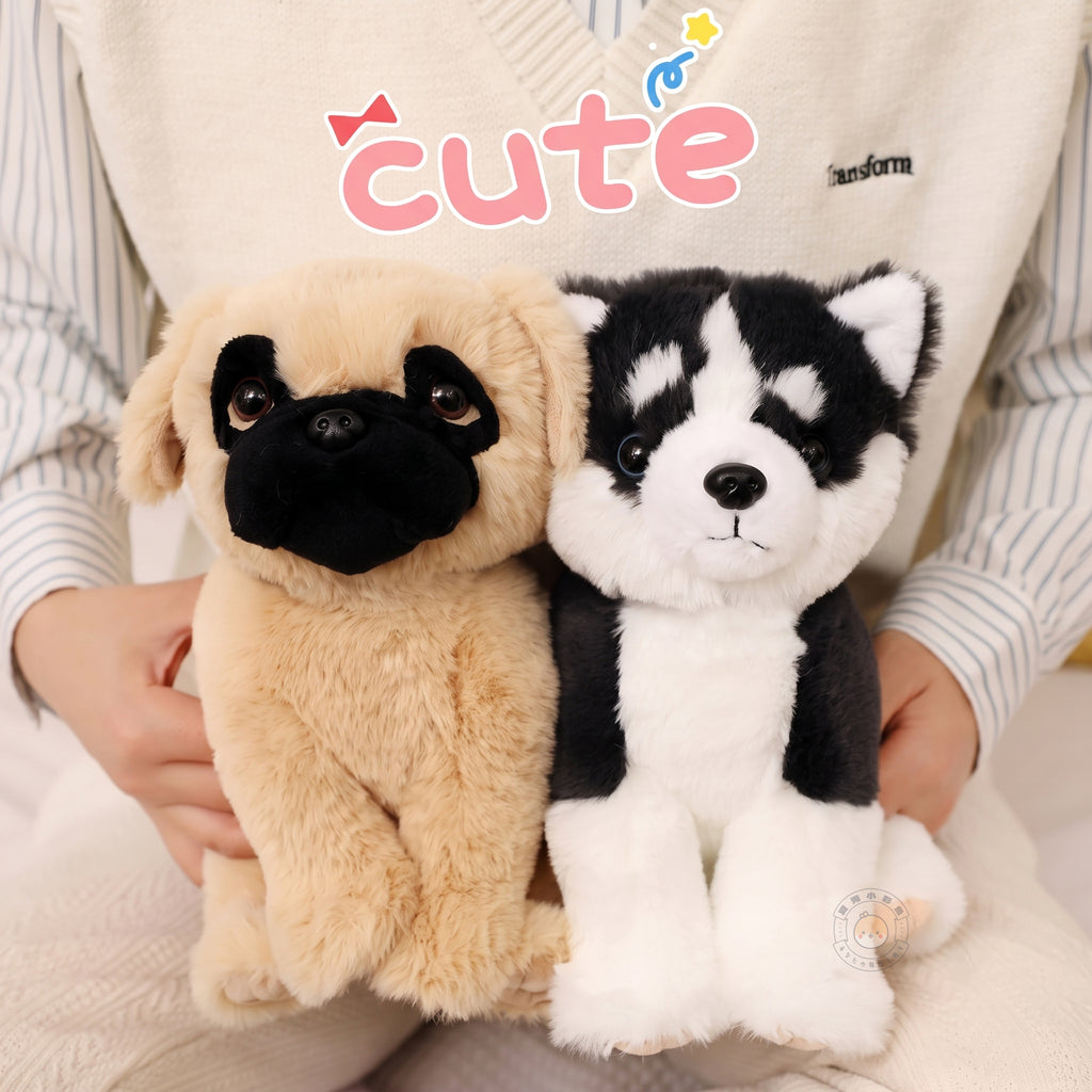 女性が両手に抱えるパグとハスキーの愛らしいおすわりぬいぐるみ