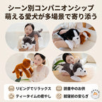 リビングや読書タイム、就寝前の添い寝など様々なシーンで寄り添う犬のぬいぐるみ
