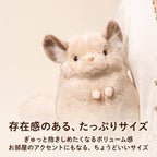チンチラ ぬいぐるみ たっぷりとしたサイズ感 両手で抱きしめられる大きさ