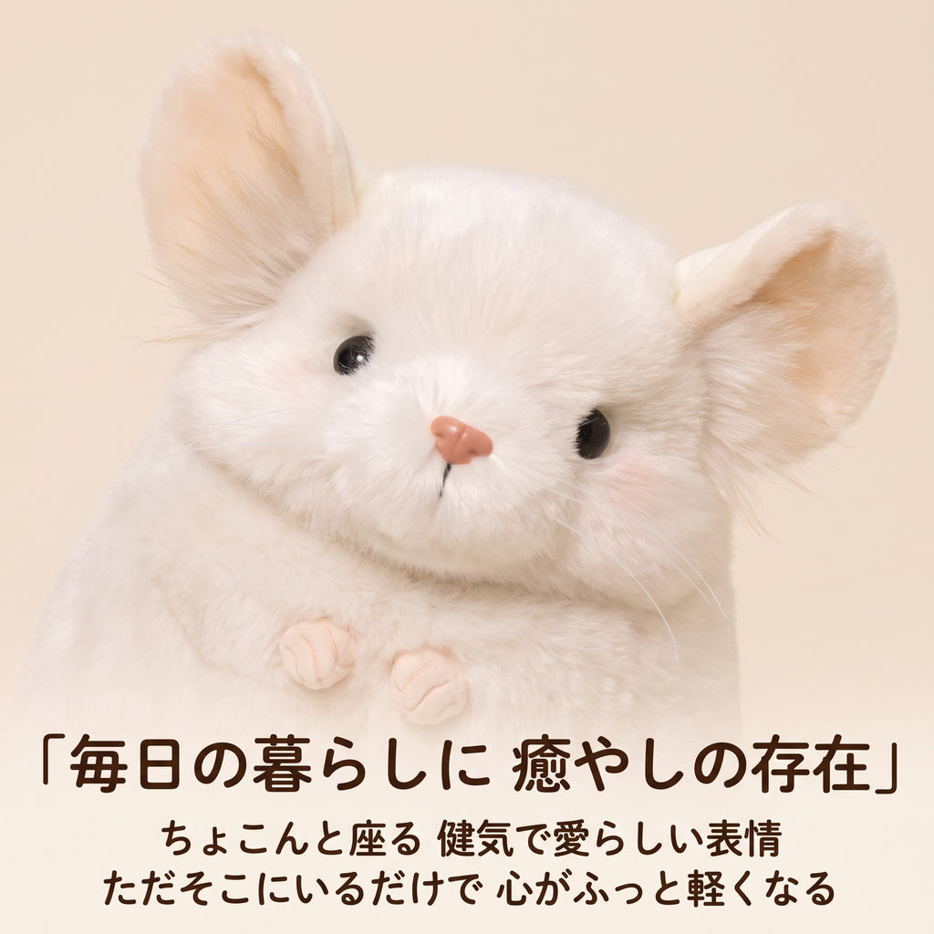 チンチラ ぬいぐるみ 愛らしい表情 ピンと立った大きめの耳とヒゲ