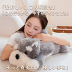 ベッドサイドで枕元にそっと寄り添うくたくた犬のぬいぐるみと添い寝の時間