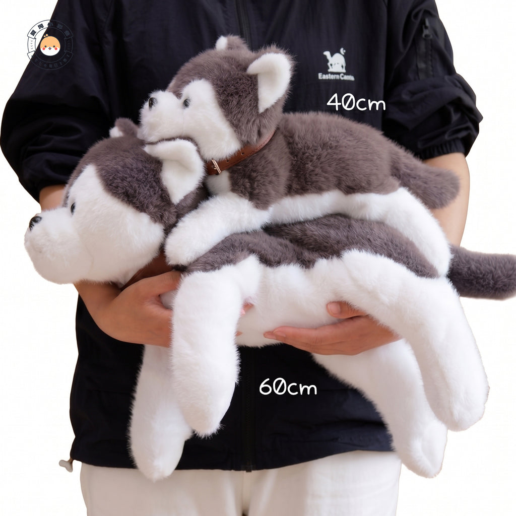 40cmと60cmの2サイズを抱きかかえたハスキーぬいぐるみのサイズ比較イメージ