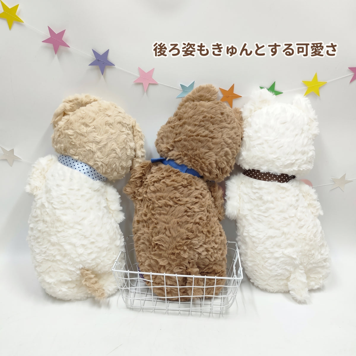 カゴに並んだビションフリーゼたちの後ろ姿。キュートな短なしっぽと首元のリボンタイがアクセント。