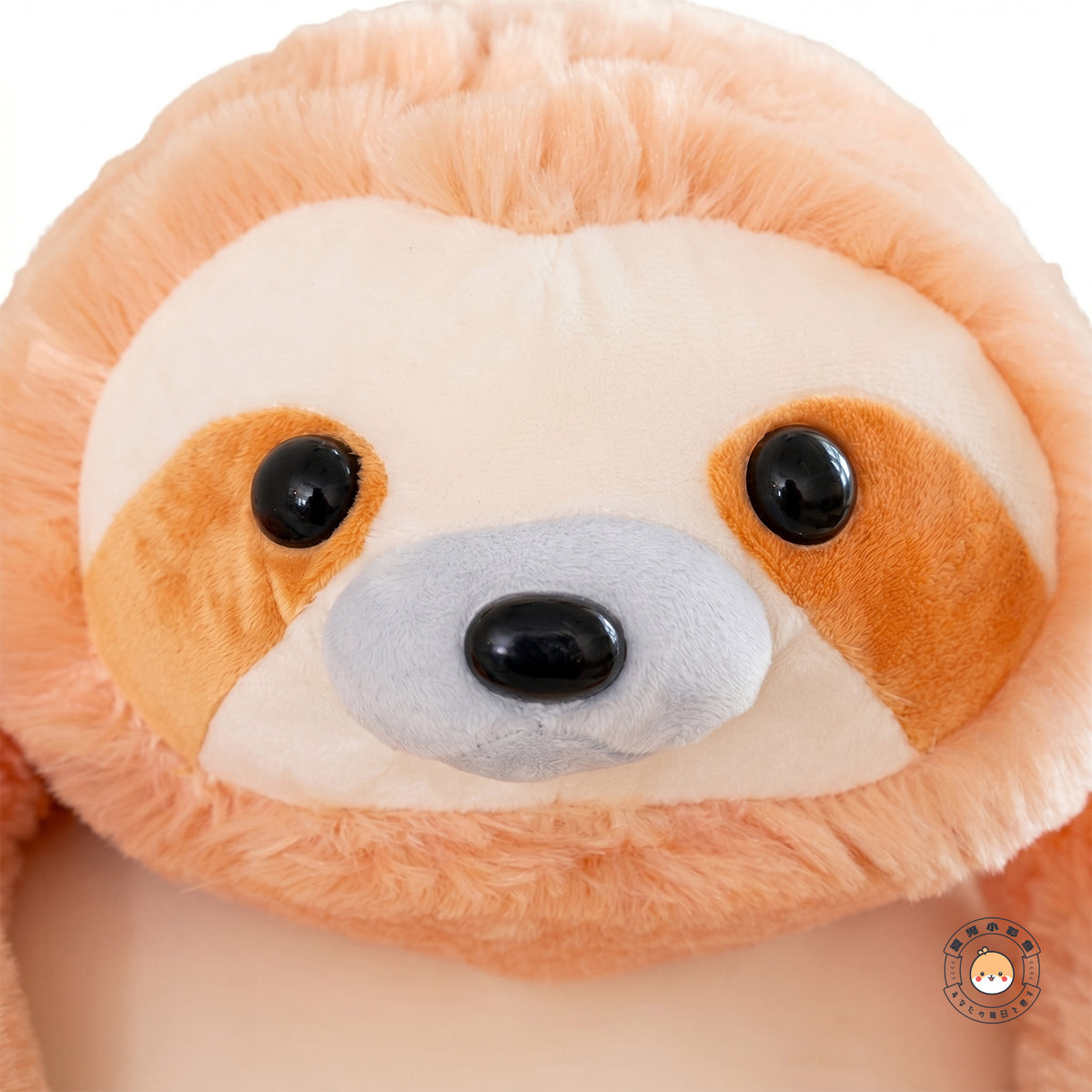 ナマケモノ ぬいぐるみ つぶらな瞳 愛嬌のある表情ディテール