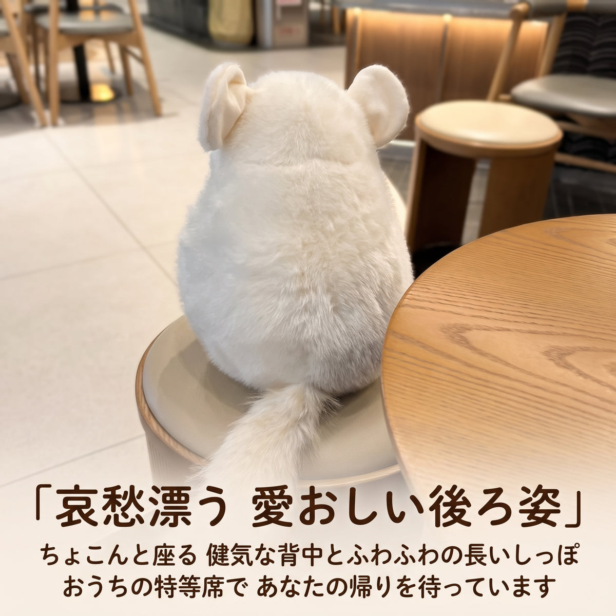 チンチラ ぬいぐるみ 椅子にちょこんと座る健気な後ろ姿とふんわりしっぽ