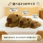 暮らしのシーンに合わせて選べる30cm・45cm・60cmの3つのサイズ展開