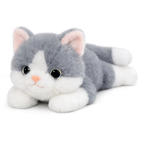 グレー猫