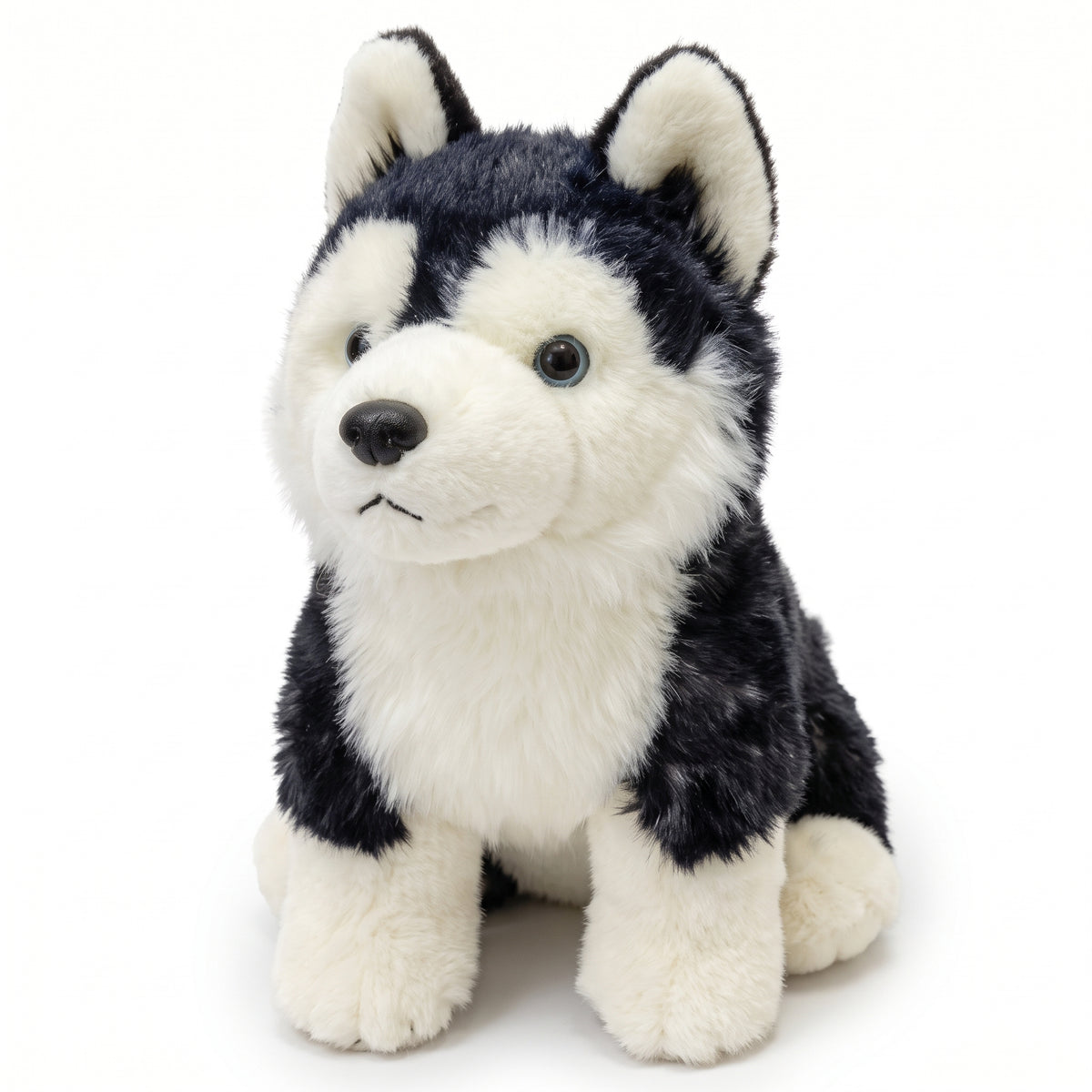 白背景にちょこんと座るリアルなハスキー犬ぬいぐるみ。黒と白の美しい毛並みと凛とした表情