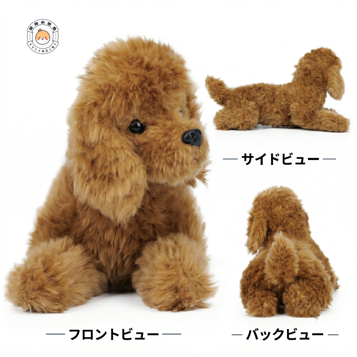 トイプードルぬいぐるみのフロント・サイド・バックビュー。胸を起こした立体的な伏せポーズと愛らしい毛並み