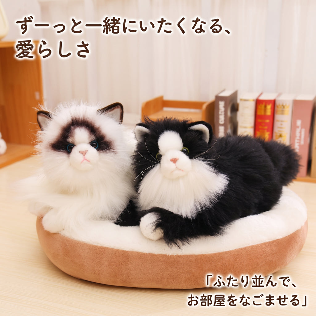 ペットベッドの中に並んでくつろぐハチワレ猫とラグドール風猫のぬいぐるみ。ふたり並んでお部屋をなごませるインテリア