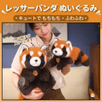 レッサーパンダ ぬいぐるみ おすわりと寝そべり 抱き心地 ペレット入り
