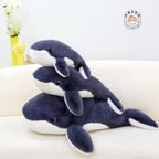 シロナガスクジラのぬいぐるみを並べたサイズ比較イメージ