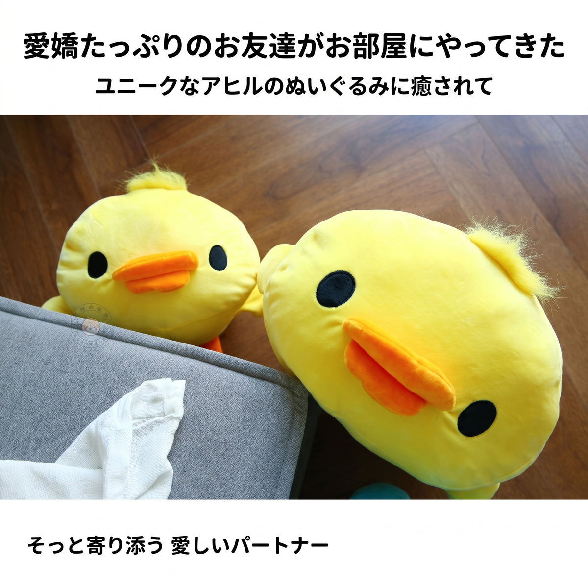 アヒル ぬいぐるみ お部屋にそっと寄り添う愛らしいアヒルの相棒