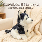 ソファに座るハスキーぬいぐるみのサイドビュー。ふっくらとした胸元と安定感のある愛らしいお座りポーズ
