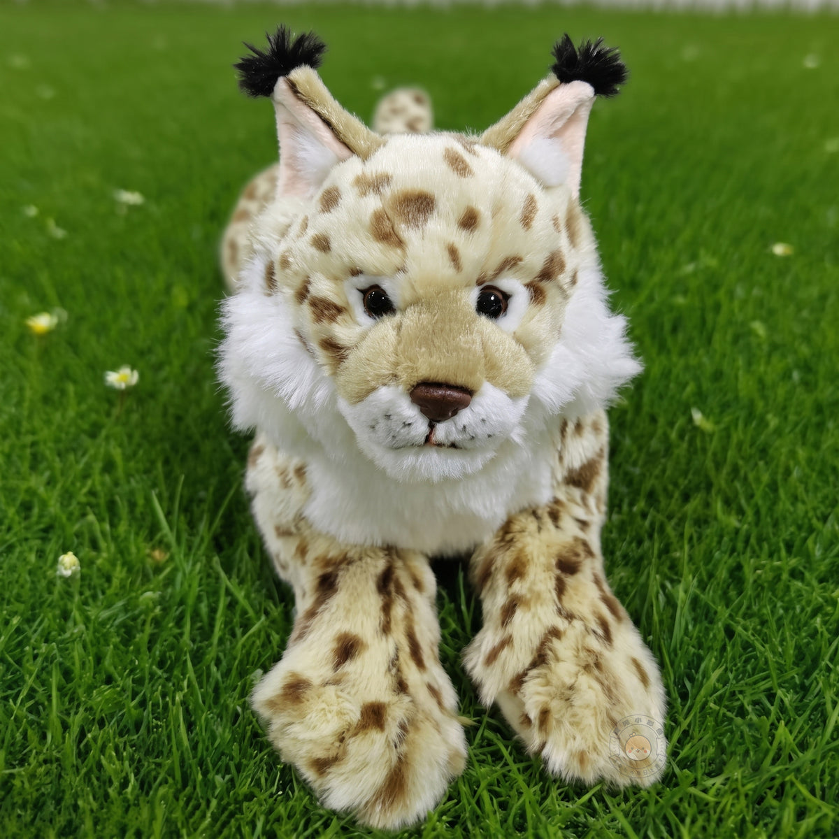 前足を揃えてこちらを見つめるオオヤマネコぬいぐるみの正面アップ。野性の気品と愛らしさを兼ね備えた表情