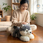 リビングの床で優しく撫でられるアラスカンマラミュートぬいぐるみ
