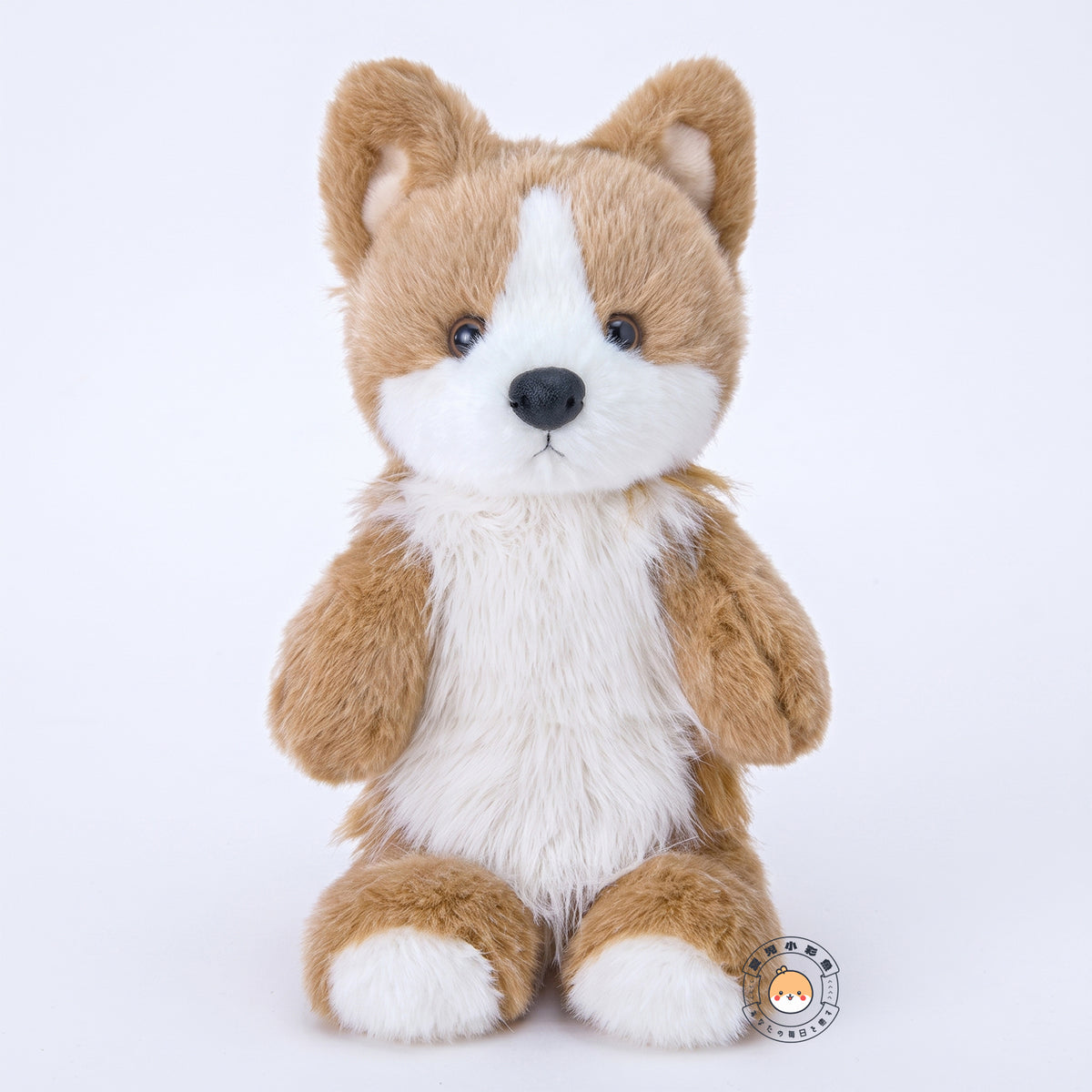 コーギー ぬいぐるみ 30cm 正面 つぶらな瞳とふんわりとした胸元の白い毛並み
