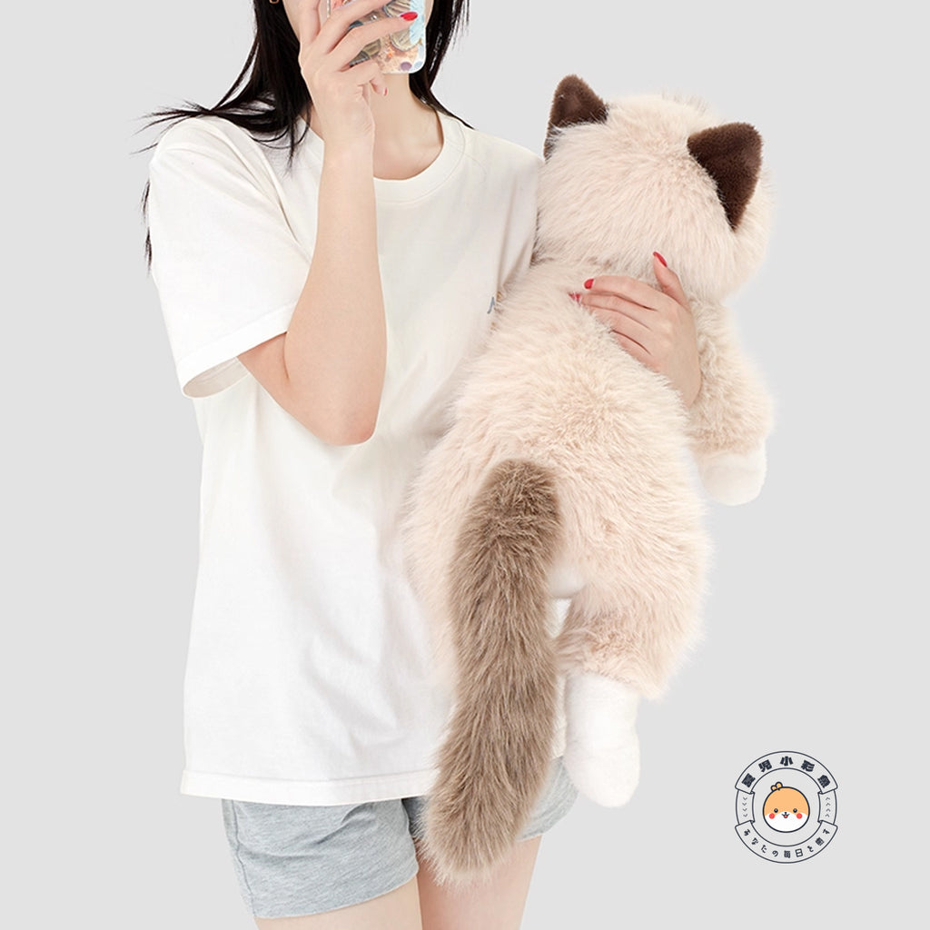 ボリュームたっぷりのふんわりしっぽと背中の長毛を見せるラグドール猫の抱き姿