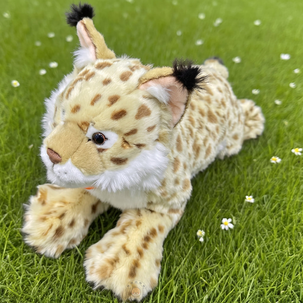 芝生の上でリラックスするオオヤマネコぬいぐるみ。思わず撫でたくなるふっくらとした大きな前足と斑点模様
