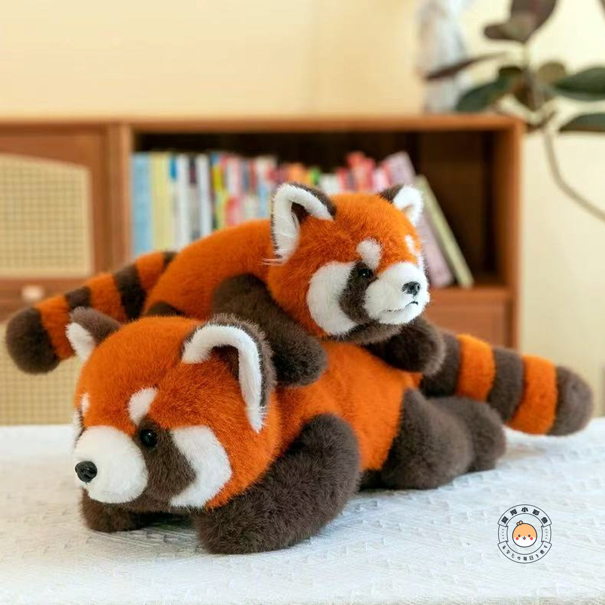 レッサーパンダのぬいぐるみをお部屋に飾った寝そべりイメージ