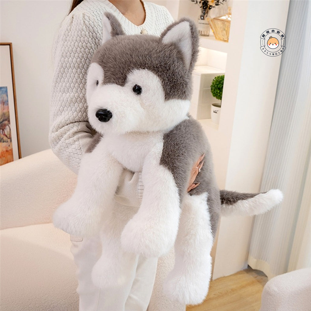 両腕で抱きかかえるハスキーぬいぐるみ ふわふわの毛並みとおすわりポーズ