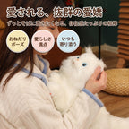 胸元でおねだりするように見上げて甘える仕草を見せるリアルなペルシャ猫ぬいぐるみ