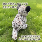 まあるい後ろ姿とふんわり存在感のある太いしっぽがチャームポイントのユキヒョウぬいぐるみ