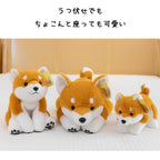 柴犬ぬいぐるみ 30cm・45cm・65cm サイズ比較