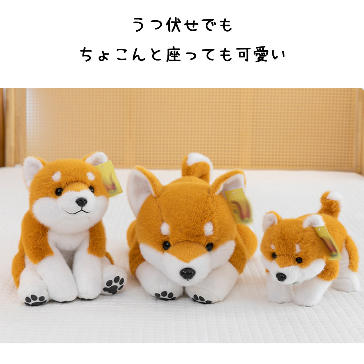 柴犬ぬいぐるみ 30cm・45cm・65cm サイズ比較