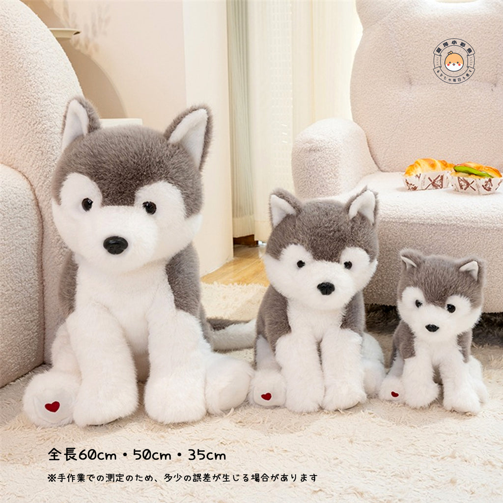 ハスキー ぬいぐるみ 3サイズ並び比較 座高23cm 32cm 45cm
