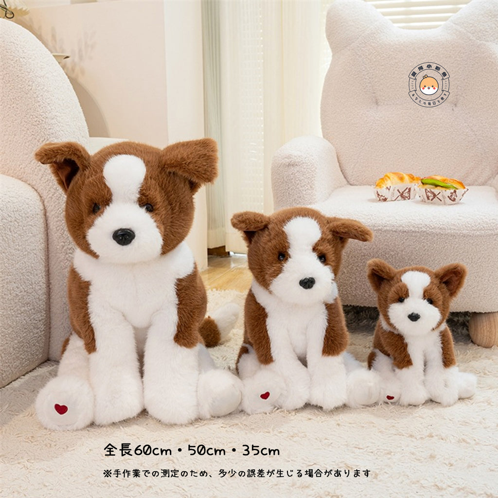ボーダーコリー ぬいぐるみ 3サイズ並び比較 座高23cm 32cm 45cm