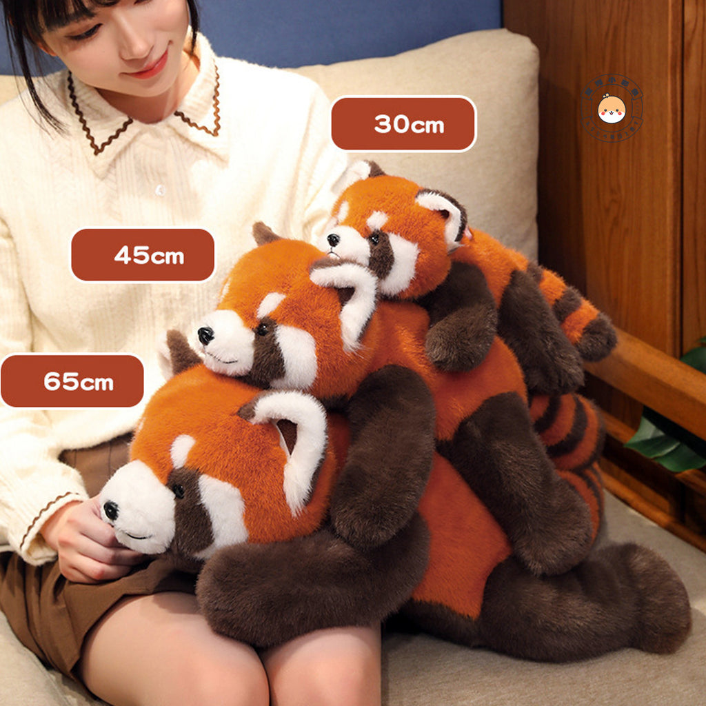 レッサーパンダぬいぐるみ 30cm・45cm・65cm サイズ比較