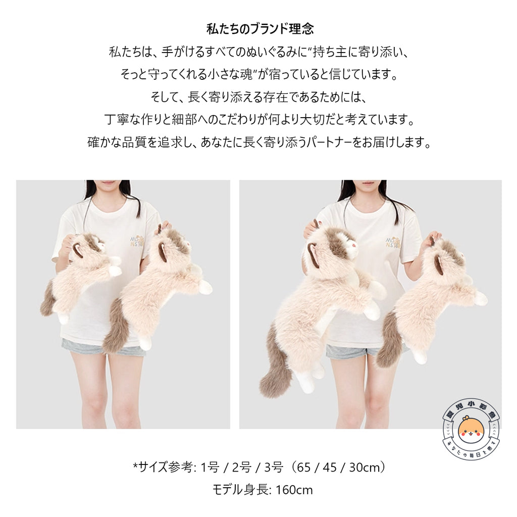 MOFUNOのブランド理念とサイズイメージ（モデル身長160cm）