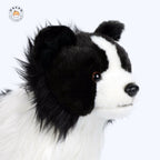 澄んだブラウンアイと立体的なマズルを見つめるボーダーコリーぬいぐるみの表情アップ