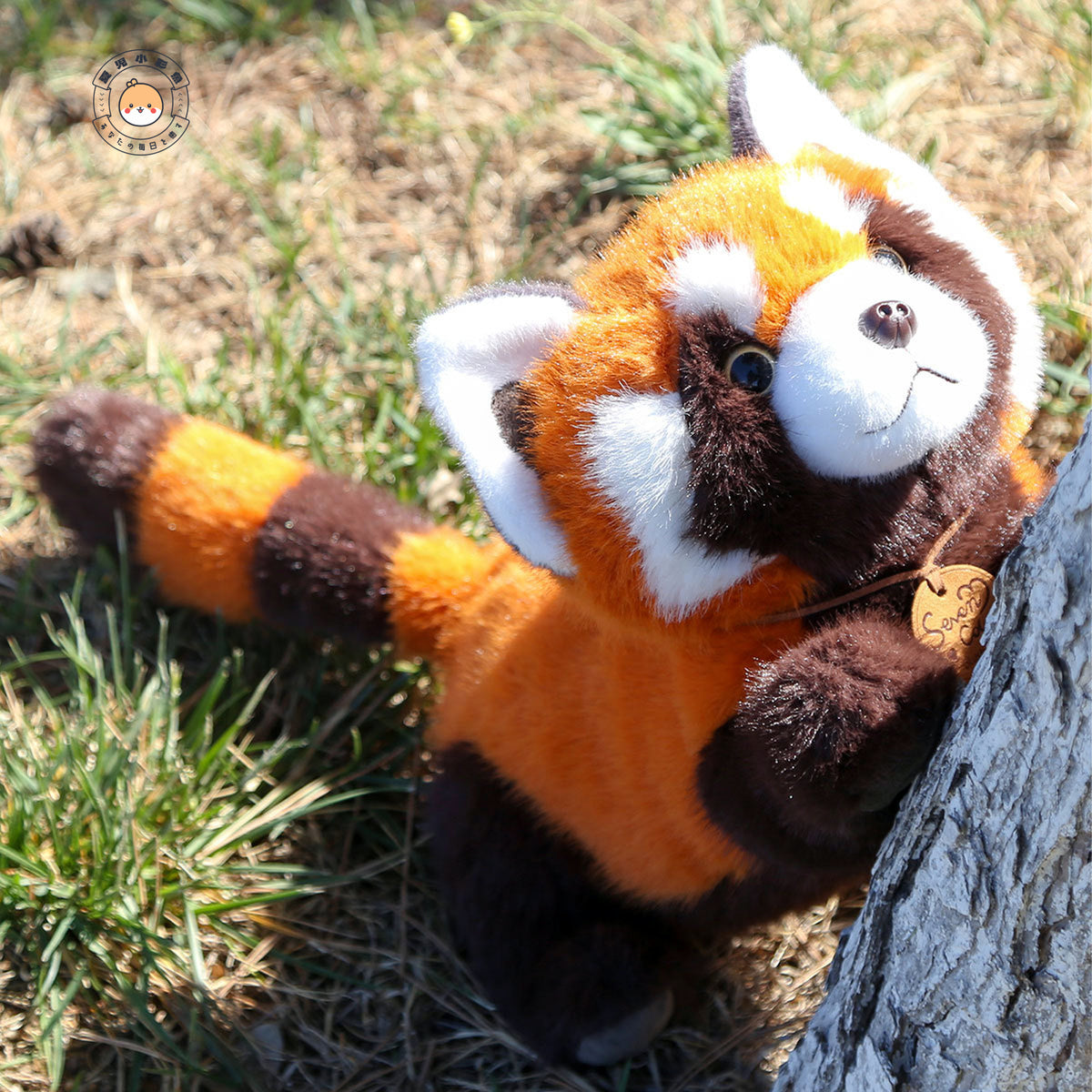 レッサーパンダ ぬいぐるみ 屋外 木登りポーズ ボリュームのある豊かなしっぽ