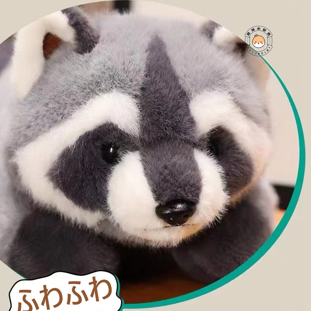 アライグマぬいぐるみのつぶらな瞳と特徴的な顔まわりの模様