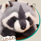 アライグマぬいぐるみのつぶらな瞳と特徴的な顔まわりの模様