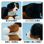 バーニーズマウンテンドッグぬいぐるみのディテール。抜け毛の少ない上質アクリルファーとふっくらとした弾力中綿のこだわり